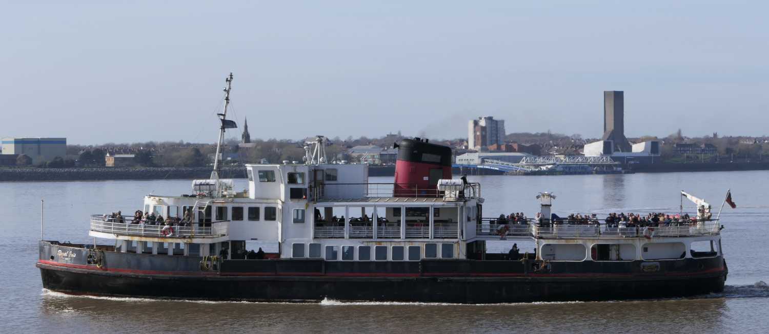 Royal Iris side on view